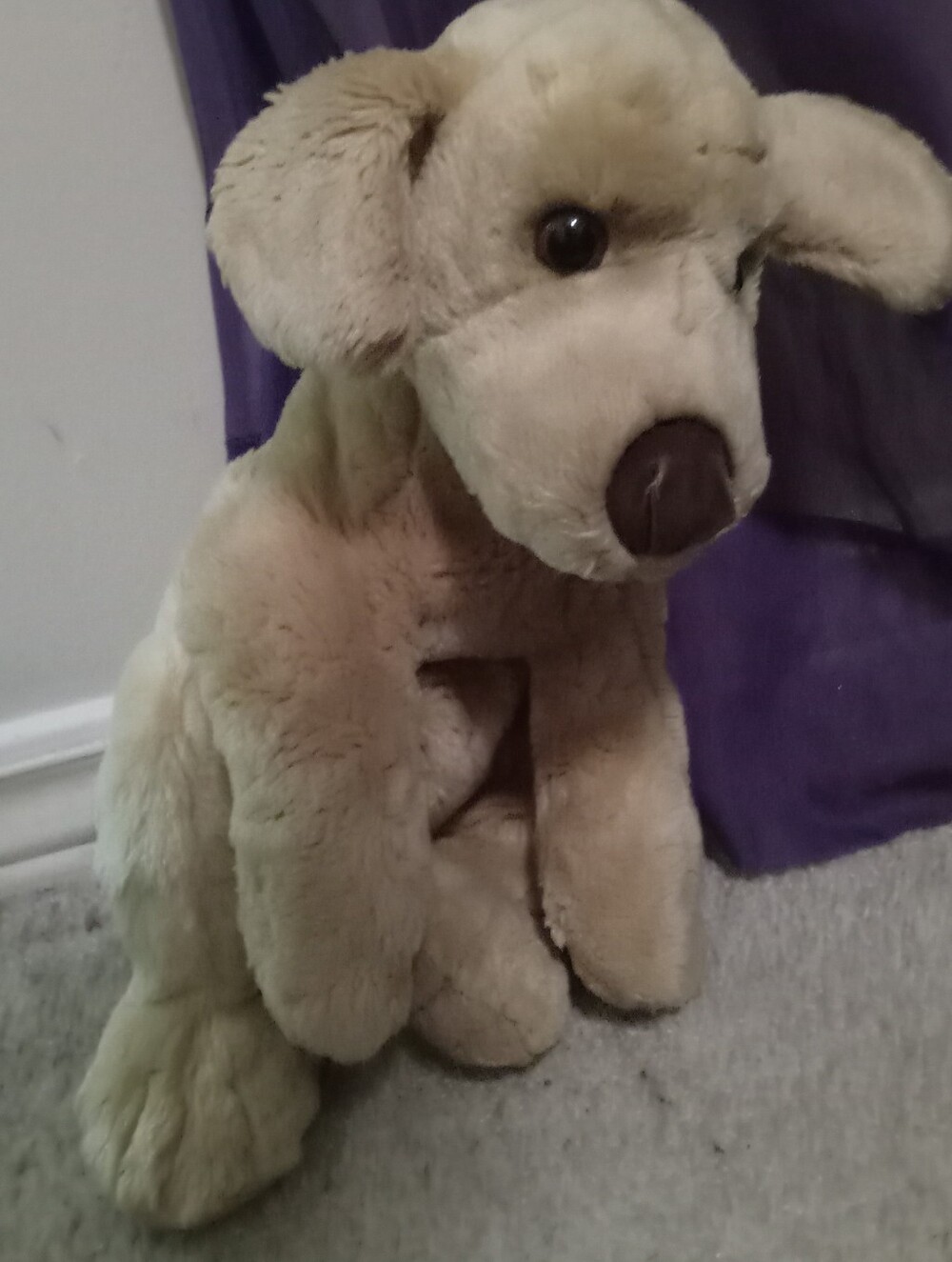 Stuffed Animal